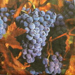 Servítka - Červené hrozno