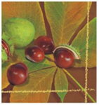 Servítka - Gaštany 51